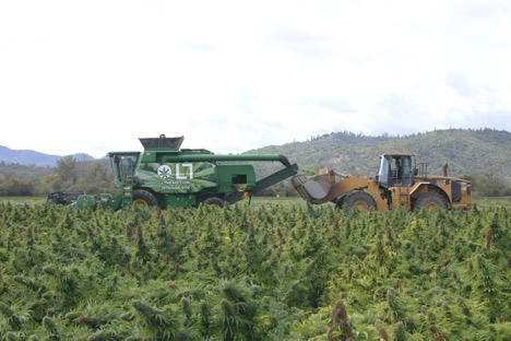 HEMPTOWN FALL 2019 CORPORATE UPDATE TO SHAREHOLDERS - Hemptown USA HEMPTOWN FALL 2019 CORPORATE UPDATE TO SHAREHOLDERS - Buy CBG (Cannabigerol) Oil and Hemp Oil Products